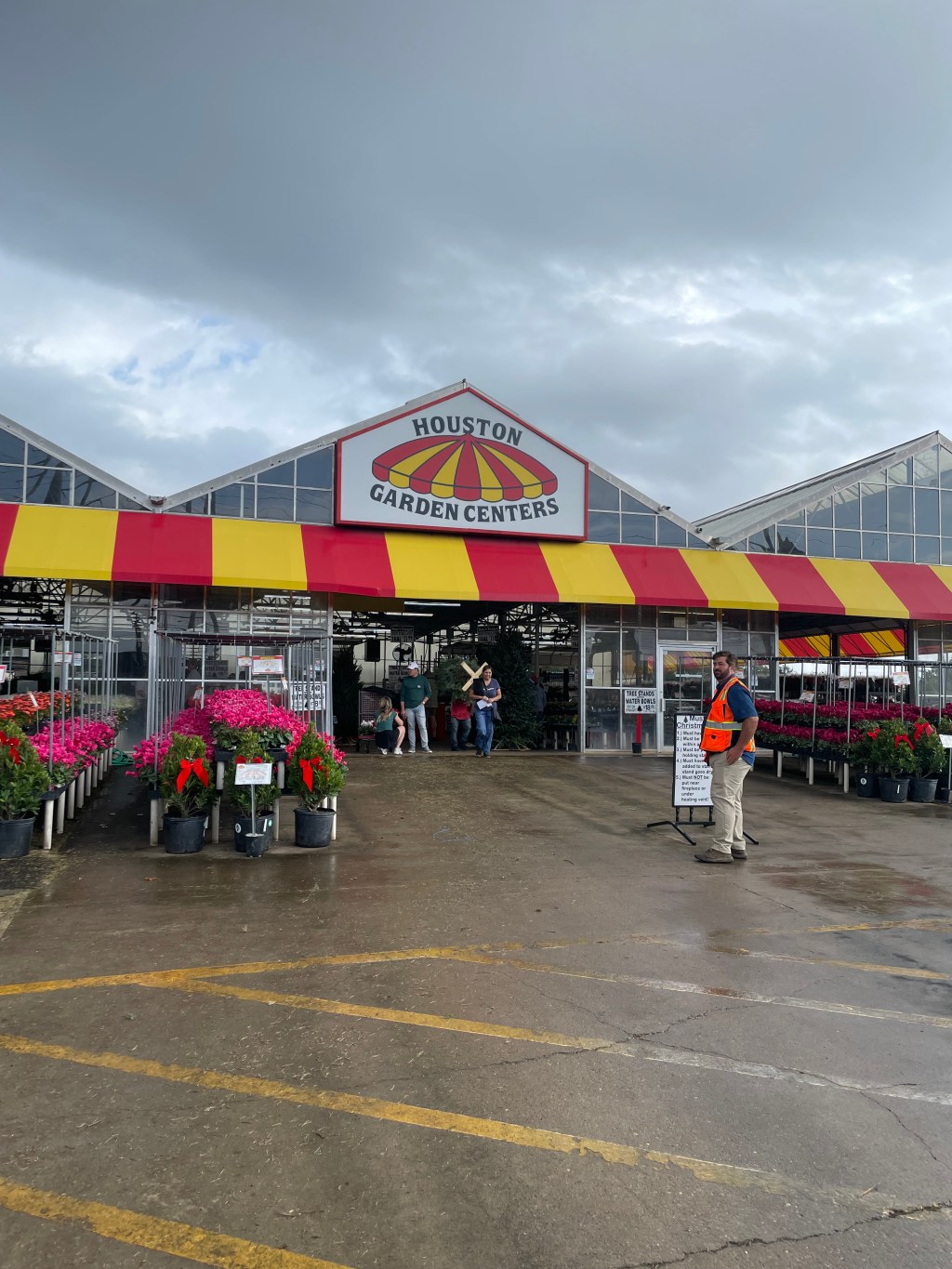 Buying a Xmas Tree at Houston Garden&nbsp;Center